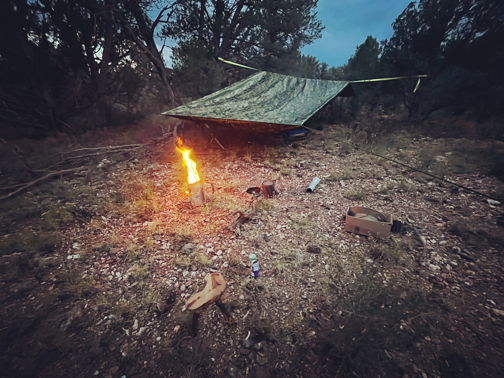 Camp Urga, Mohave County, AZ — snow-dusted juniper at dawn
